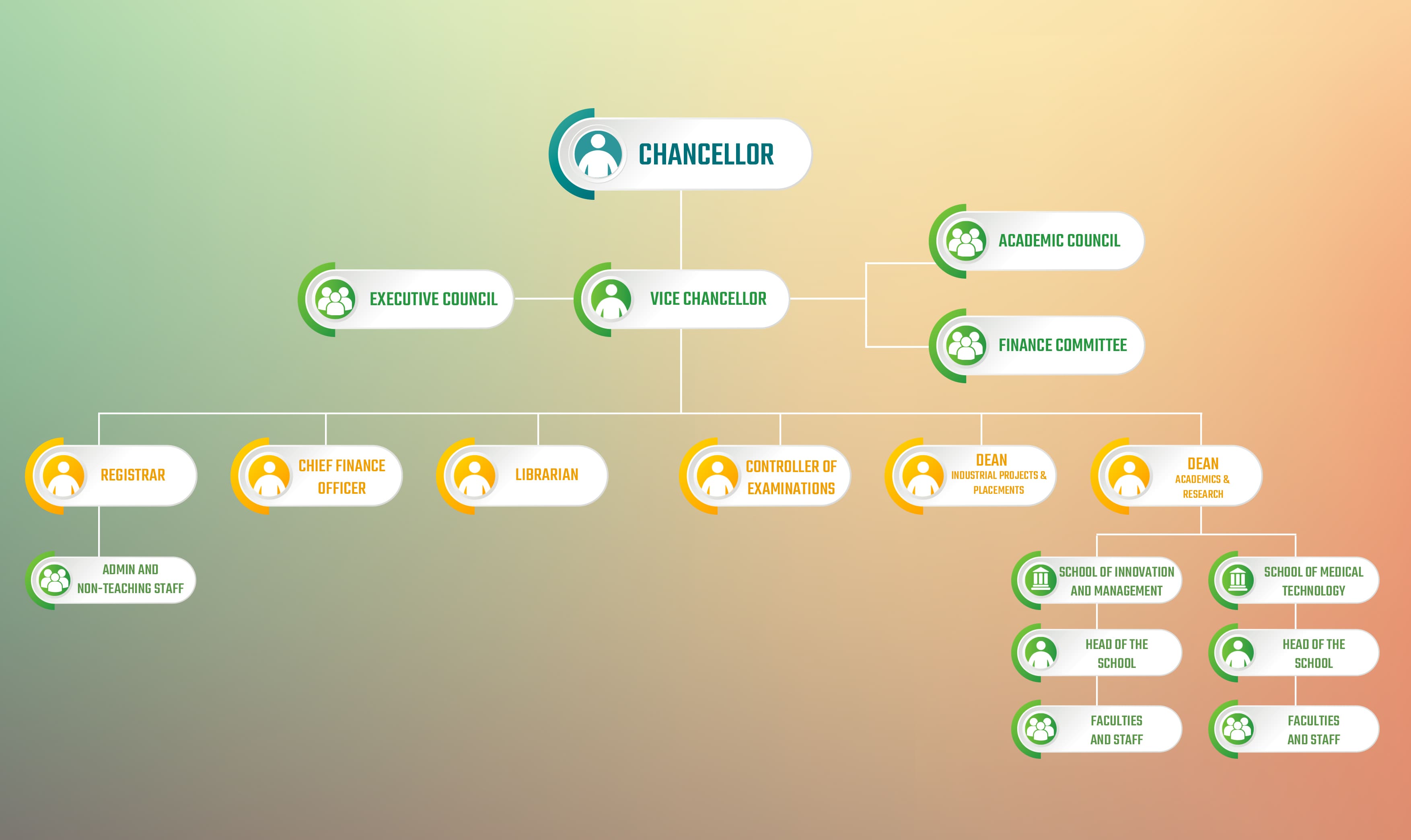 Organogram